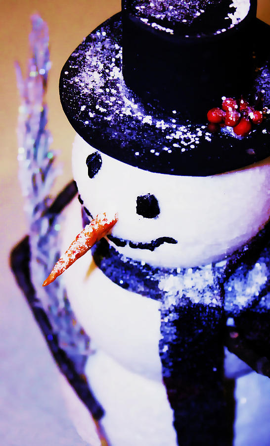Snowman Photograph by Virginia Folkman