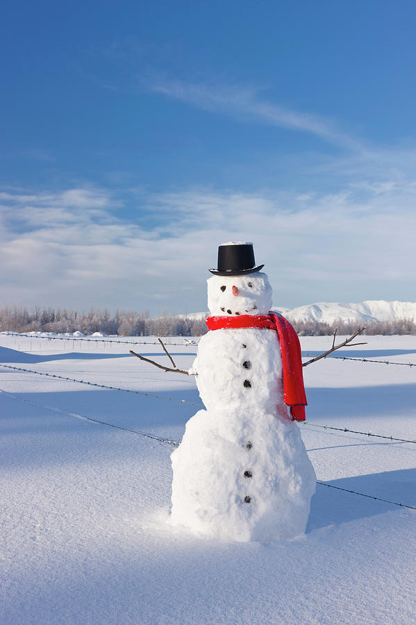 Snowman Wearing A Red Scarf And Black Photograph By Kevin Smith