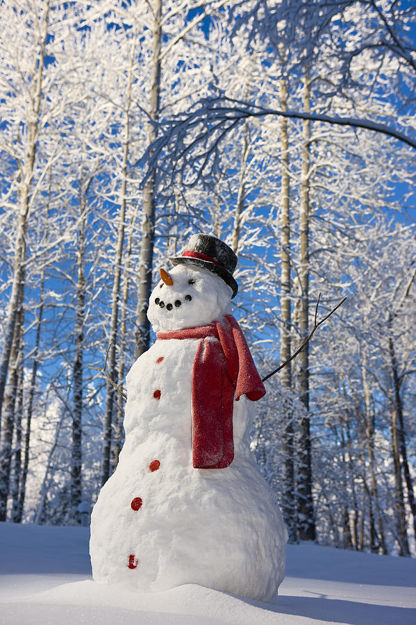 Christmas Photograph - Snowman With Red Scarf And Black Top by Kevin Smith