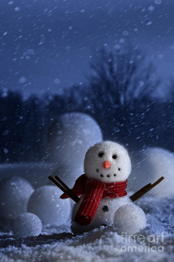 Snowman with wintery background Photograph by Sandra Cunningham