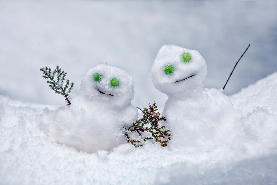Winter Photograph - Snowmen by Joana Kruse