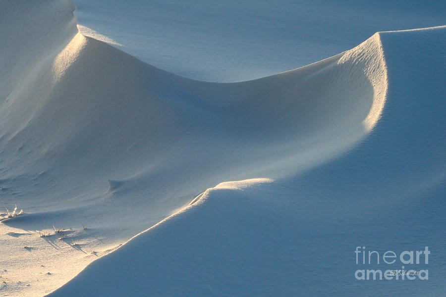 Snowscapes 1 Photograph by E B Schmidt
