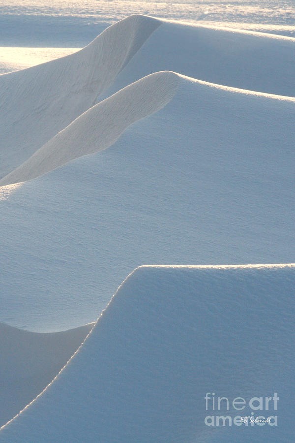 Snowscapes 2 Photograph by E B Schmidt