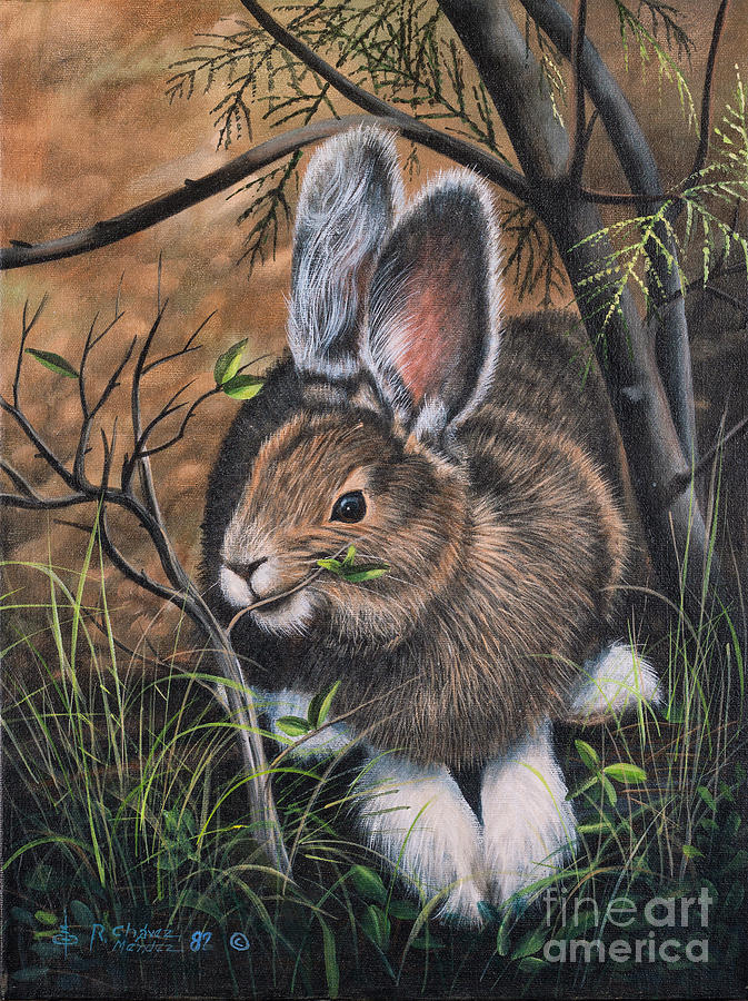 Snowshoe Rabbit Painting by Ricardo Chavez-Mendez