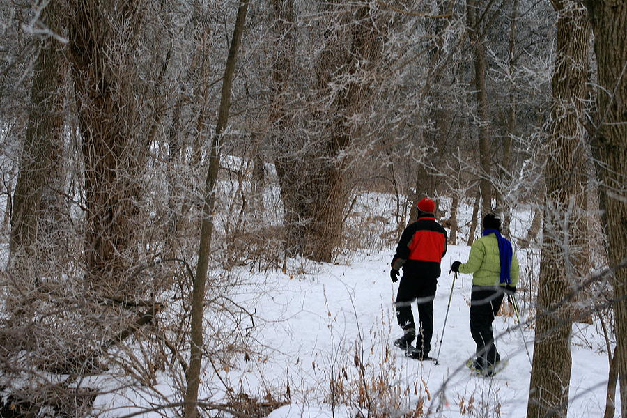 Snowshoeing In The Park Photograph by Kay Novy