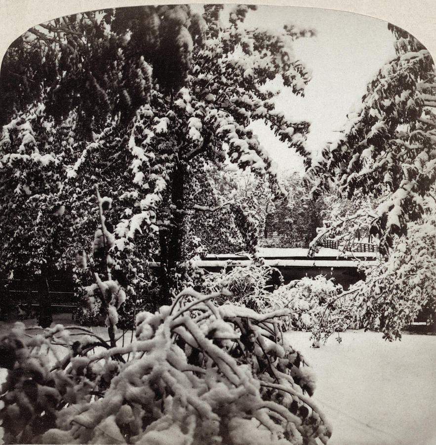 Snowstorm, 1862 Photograph by Granger