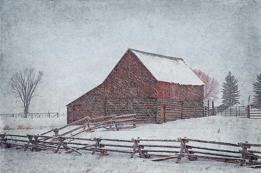 Snowstorm At The Ranch 2 Photograph