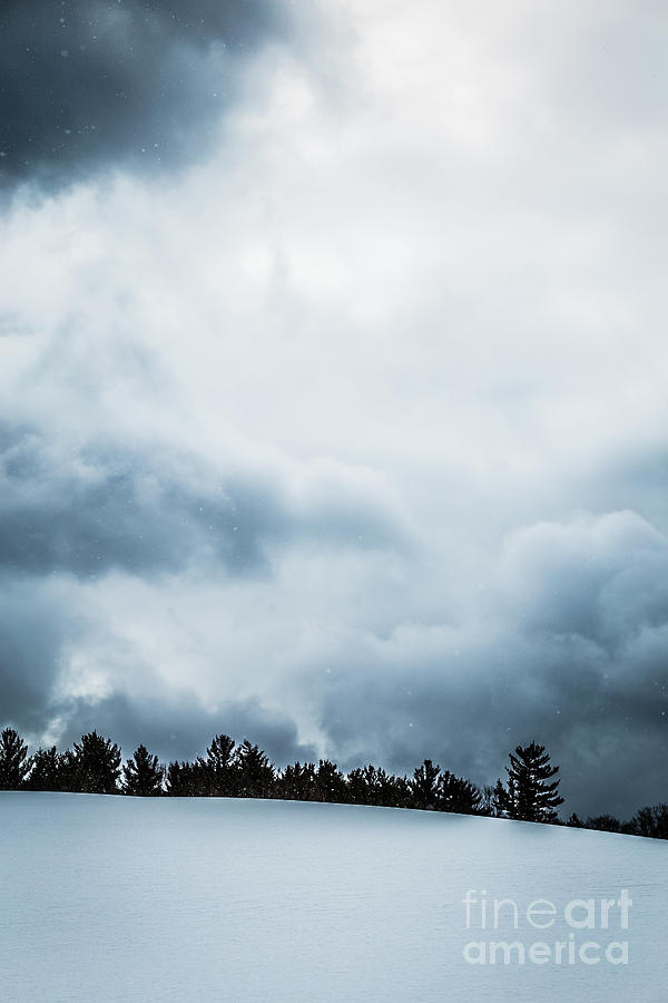 Snowstorm Photograph by Edward Fielding