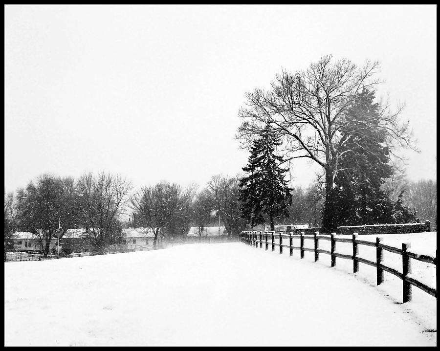 Snowstorm in the Park Photograph by Ellen Tully