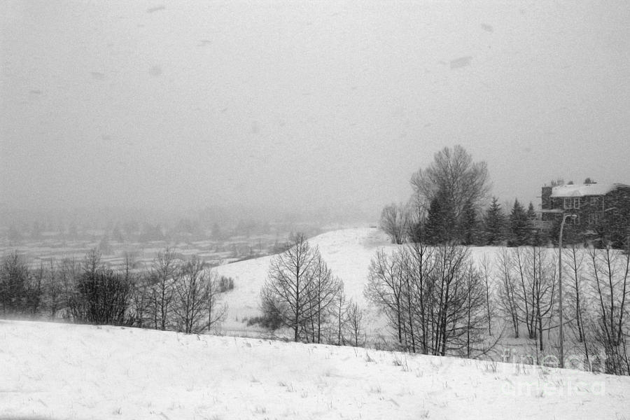 Snowstorm January 2014 Photograph by Al Bourassa