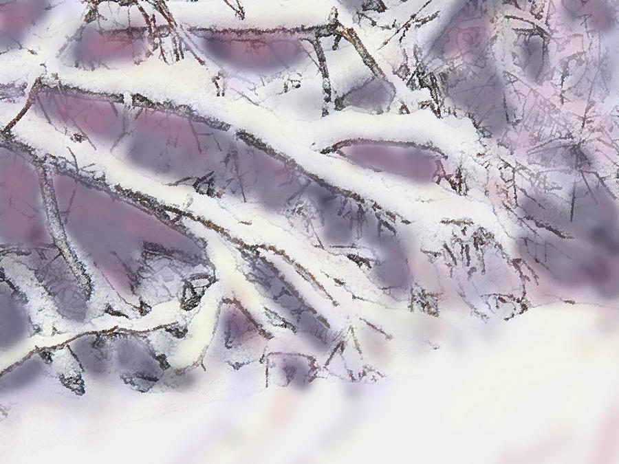 Snowtract Digital Art by Ian  MacDonald