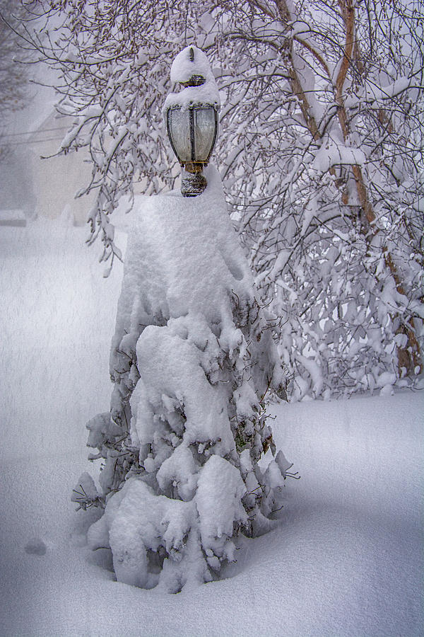 Snowvember 2014 Photograph by Guy Whiteley