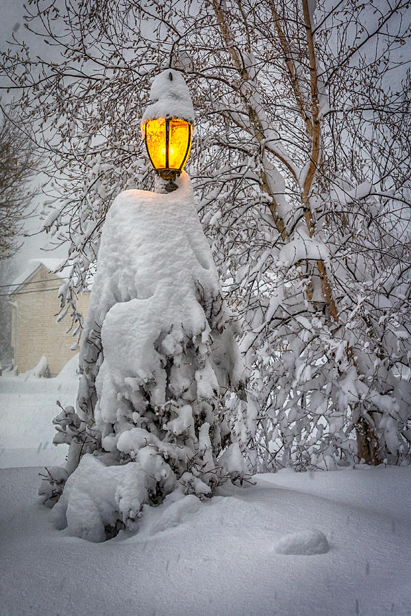 Snowvember 2014 II Photograph by Guy Whiteley