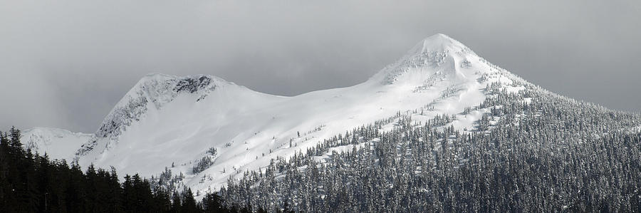 Snowy Alaskan Mountains Photograph