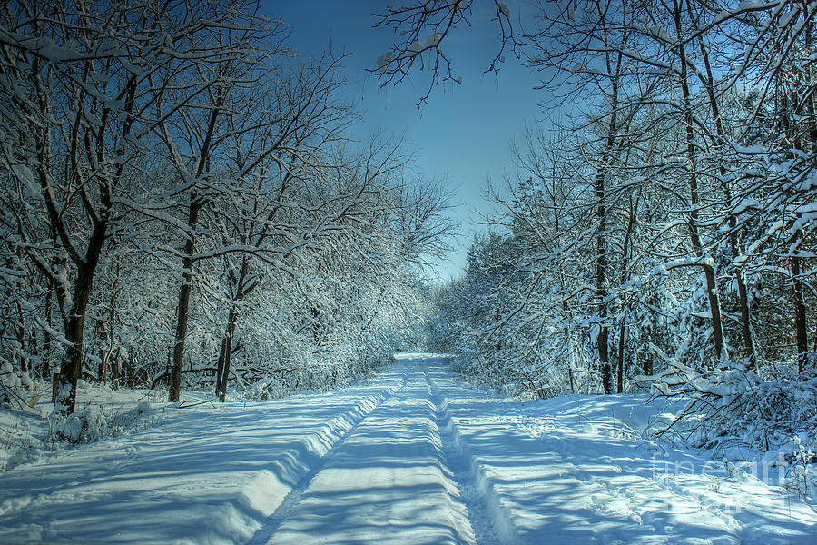 Snowy Backroad Photograph by Thomas Danilovich