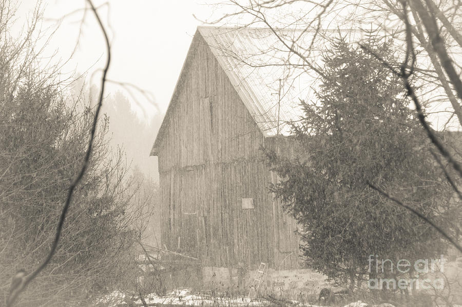 Snowy Barn Photograph by Cheryl Baxter