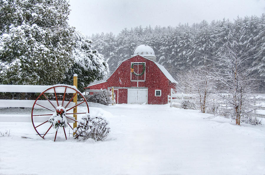 Snowy Barn Photograph by Donna Doherty