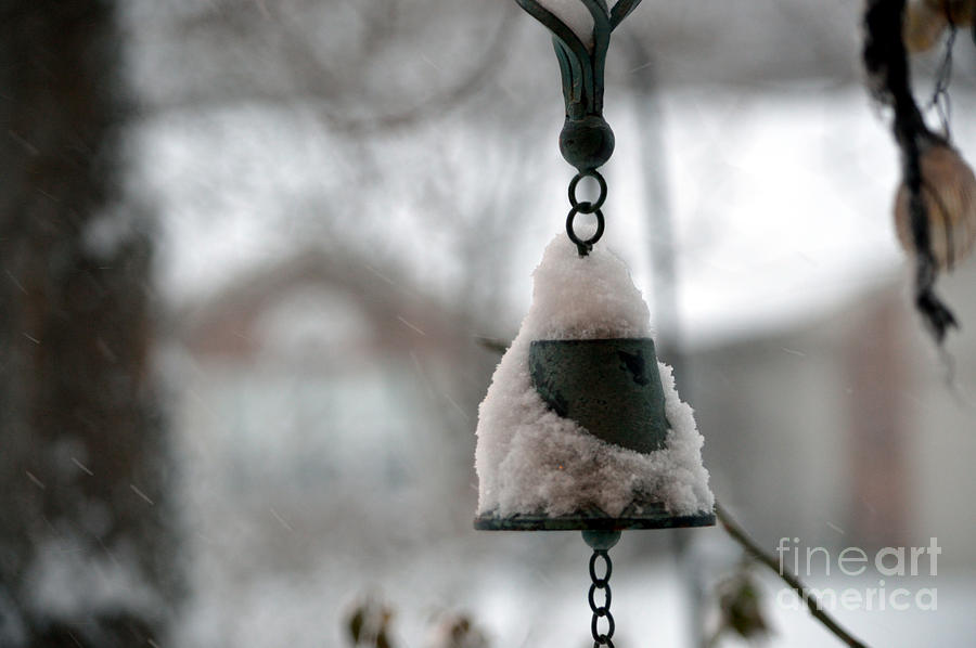 Snowy Bell Photograph by Alys Caviness-Gober
