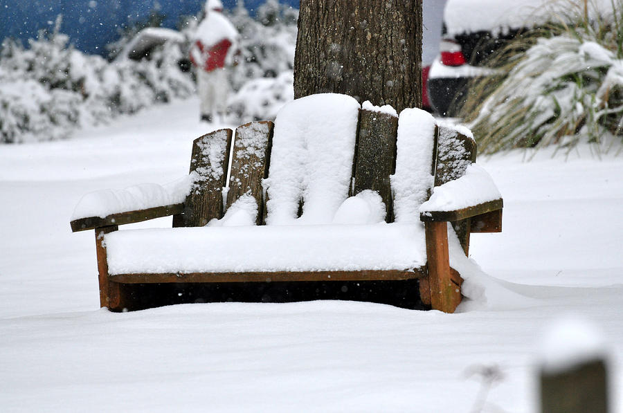 Snowy Bench Photograph by Sonja Dover | Fine Art America