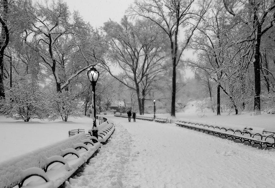 Central Park Photograph - Snowy Benches In Central Park by William  Carson Jr