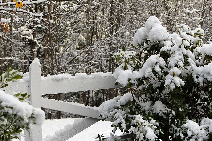 Snowy Border Photograph by Deena Withycombe Snowy Border Photograph by Deena Withycombe