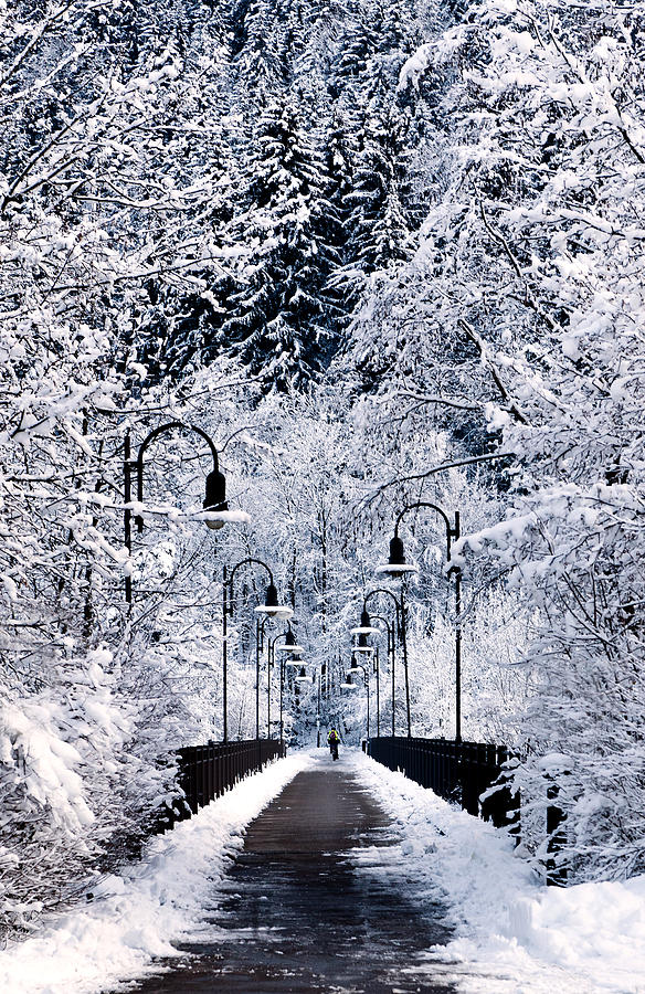 Bridge Photograph - Snowy bridge by Jorge Maia