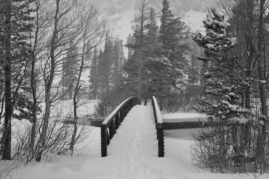 Snowy Bridge Mammoth Photograph by Christine Owens Snowy Bridge Mammoth Photograph by Christine Owens