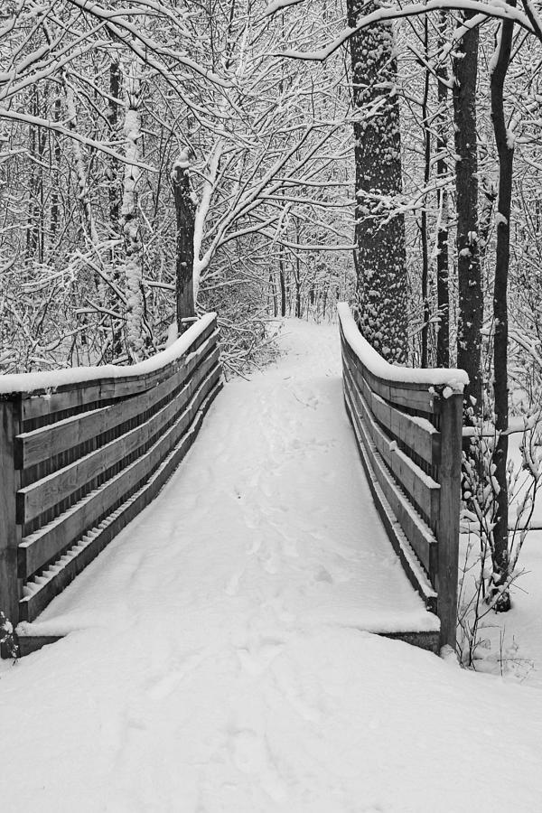 Snowy Bridge Photograph by Mary Bedy