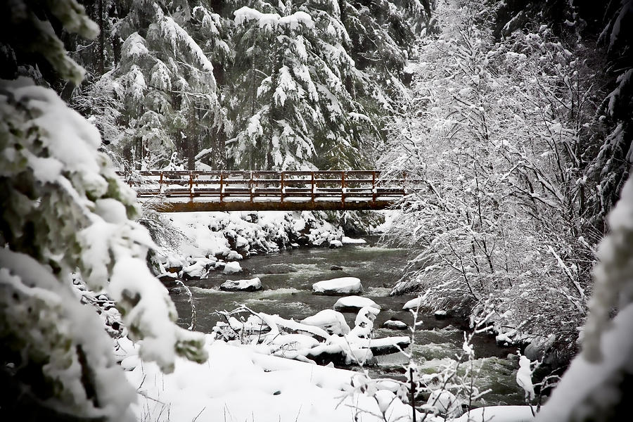 Snowy Bridge Photograph by Michael Whitson - Fine Art America