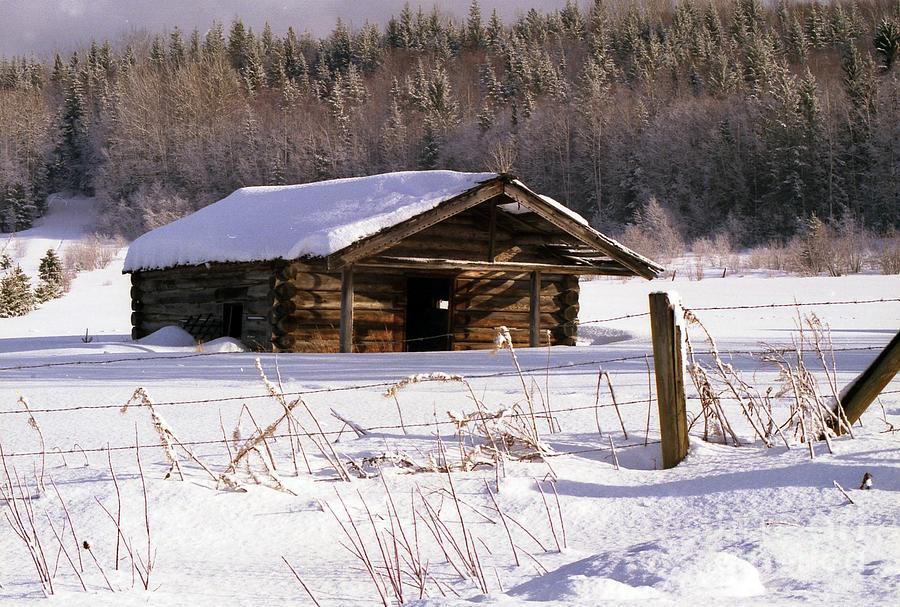 Snowy Cabin Photograph by Vivian Martin