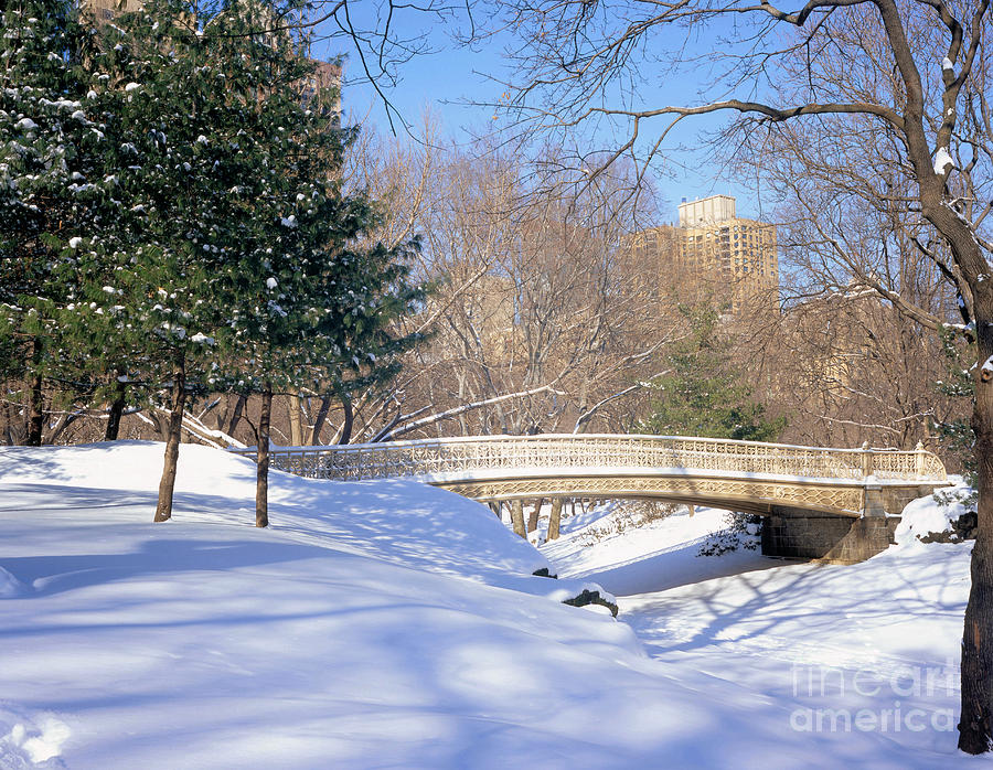 Snowy Central Park Photograph by Rafael Macia
