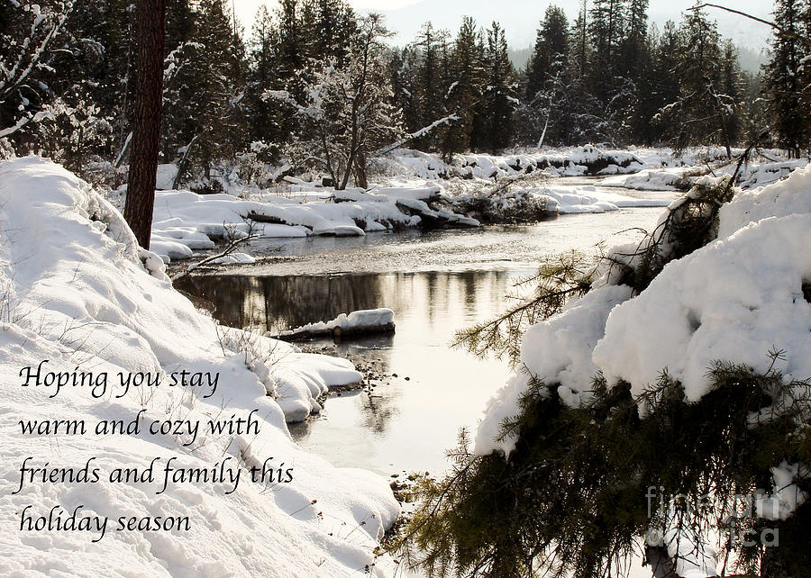 Snowy Christmas Day Photograph by Nancy Harrison - Fine Art America