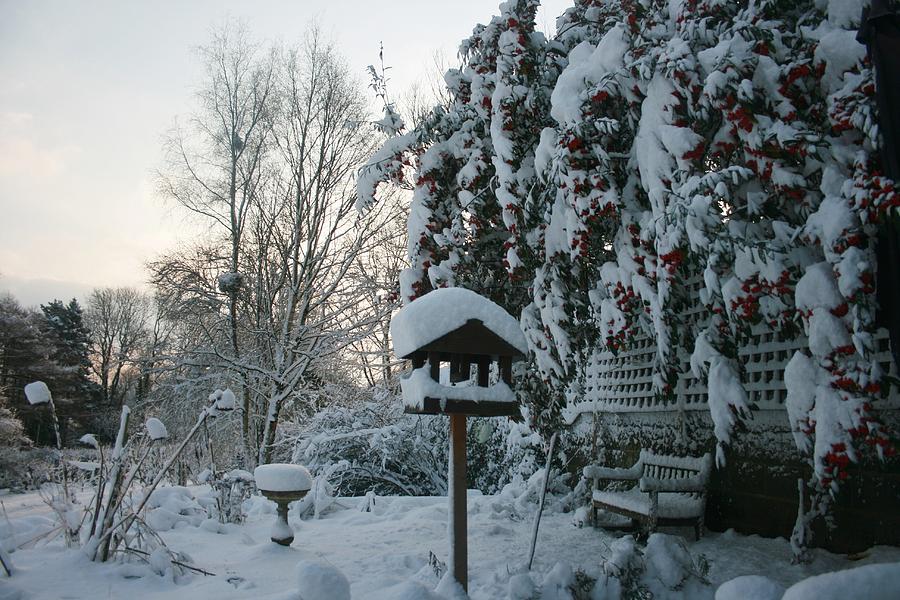 Snowy Christmas Scene Photograph by Henry Hemming - Fine Art America