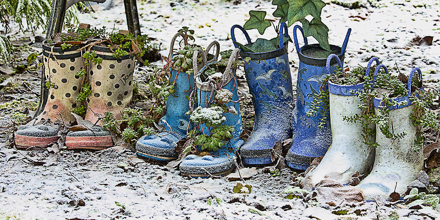 Snowy Cold Rubber Boots Photograph by Ron Roberts