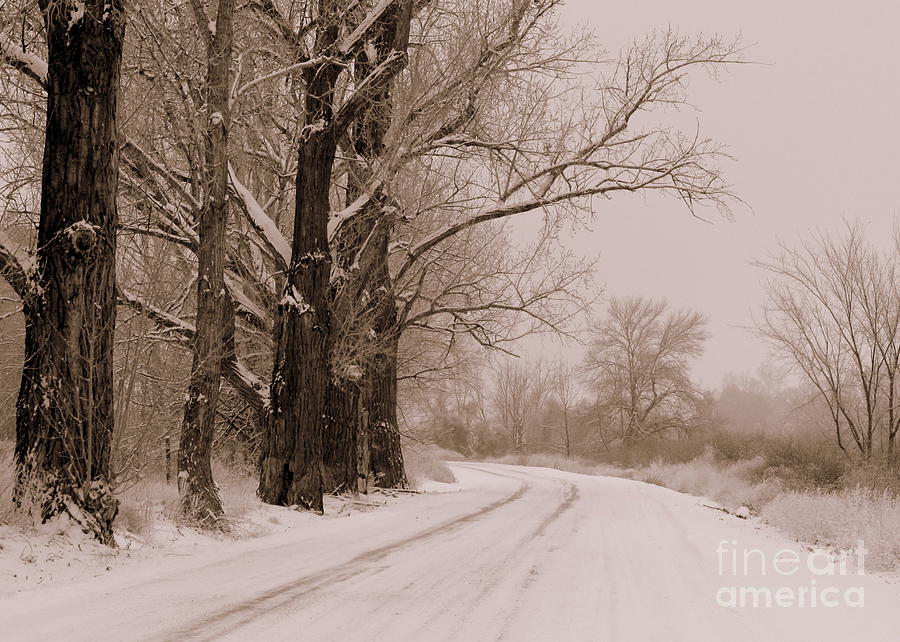 Snowy Counry Road - Sepia Photograph by Carol Groenen