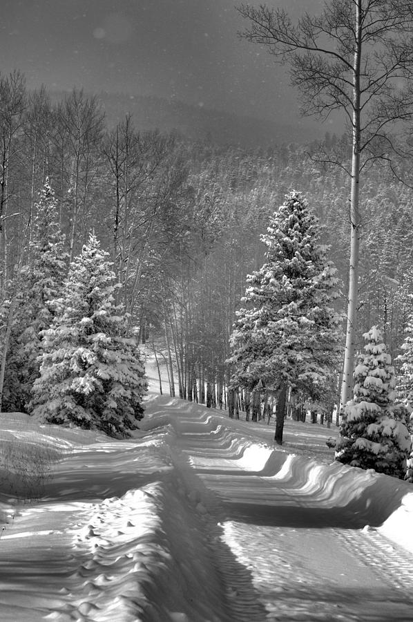 Mountain Photograph - Snowy Country Lane by Jacqui Binford-Bell