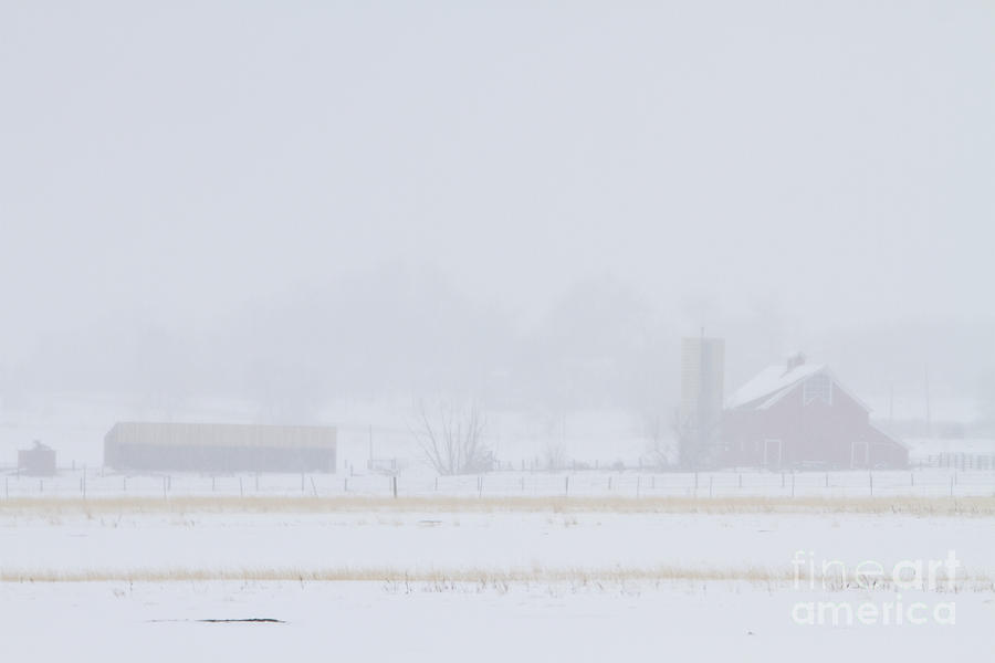Snowy Country View Photograph by James BO Insogna