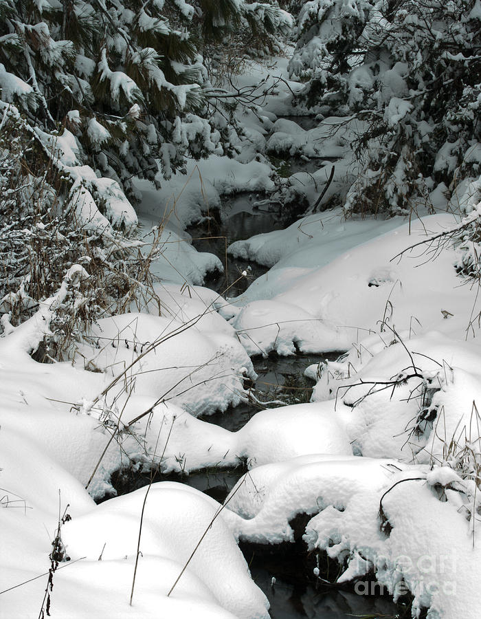 Kings Canyon National Park Photograph - Snowy Creek  2-8504 by Stephen Parker