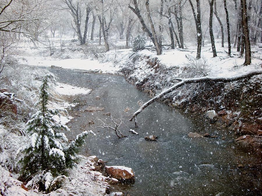 Snowy Creek Photograph by Annie Adkins