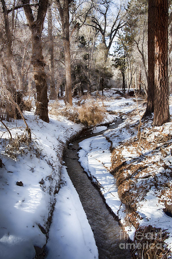 Snowy Creek-Bandelier National Monument  Photograph by Douglas Barnard