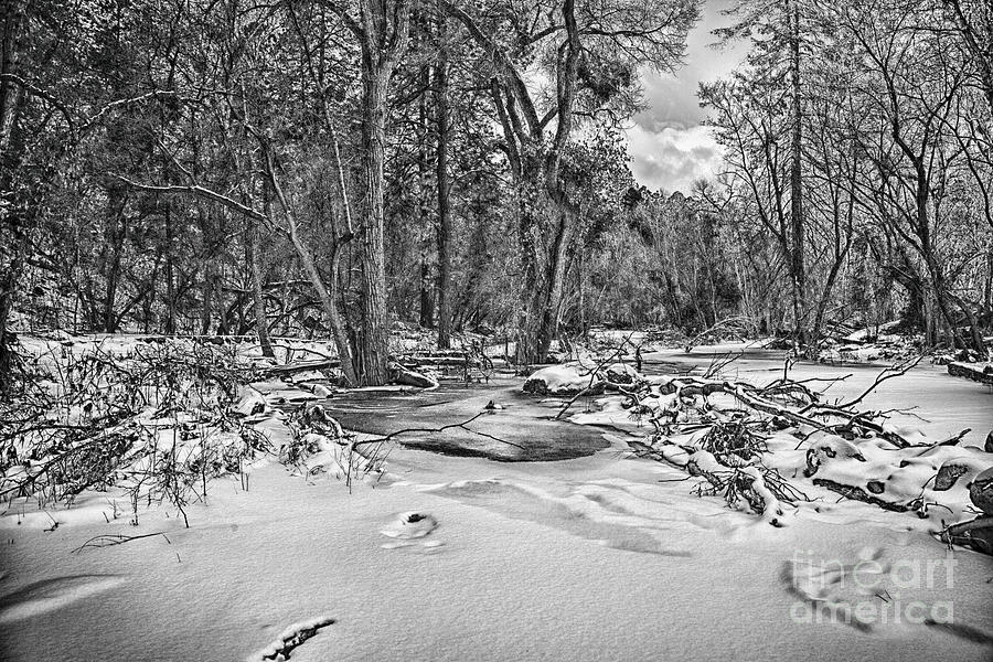Snowy Creek-Black and White Photograph by Douglas Barnard