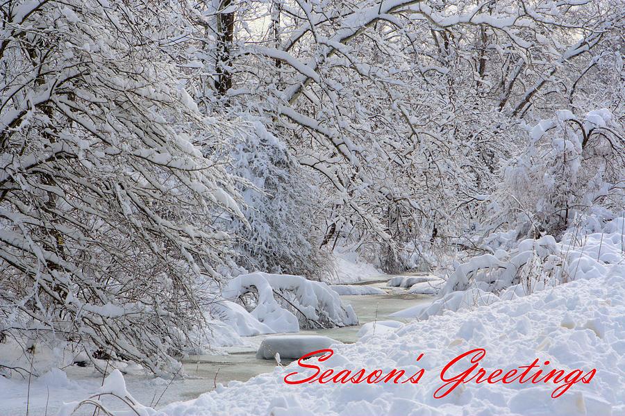 Snowy Creek in Pennsylvania Photograph by Gordon Elwell