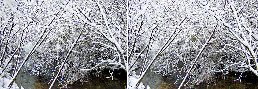 Snowy Creek in Stereo Photograph by Duane McCullough
