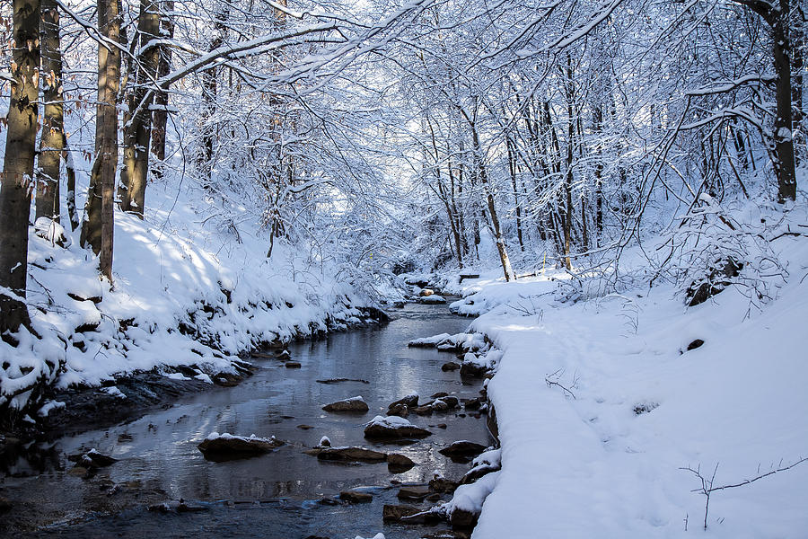 Snowy creek Photograph by Kevin Jack - Fine Art America