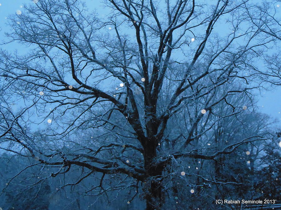 Snowy Dawn Photograph by Rabiah Seminole