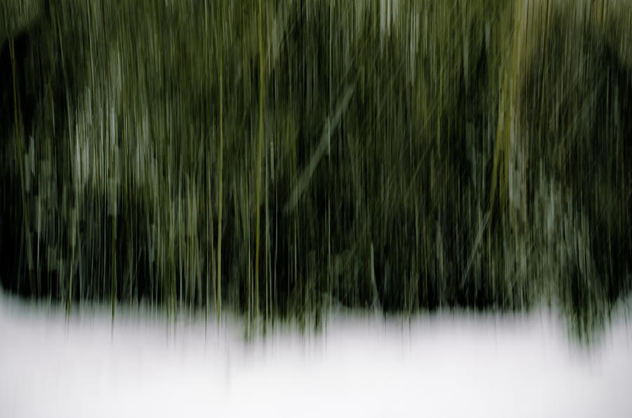 Snowy Day Abstract Photograph by Steve Stanger