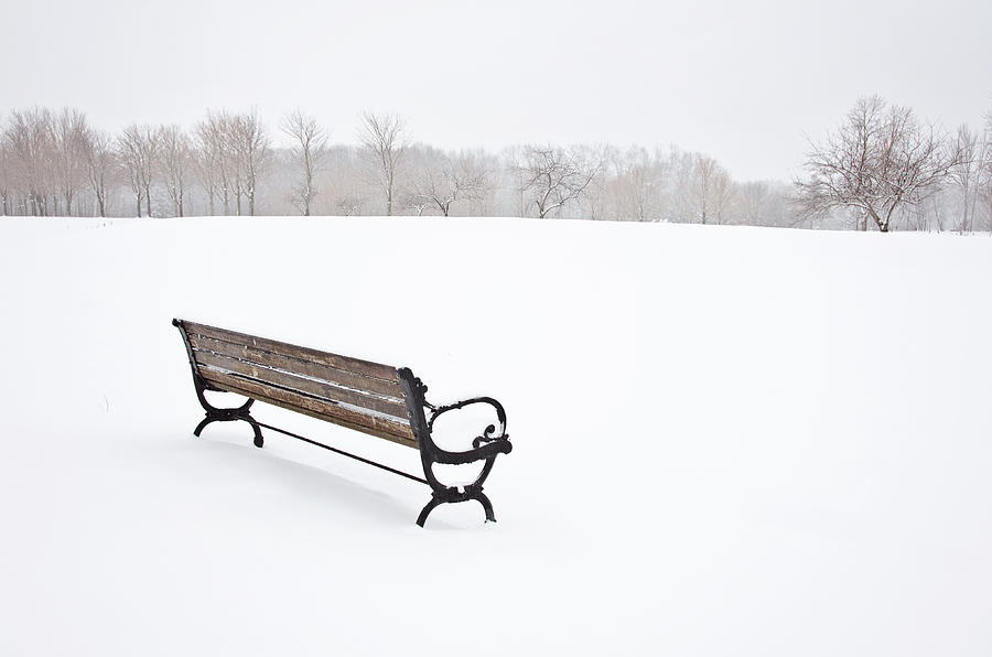 Snowy Day Bench Photograph by Donna Doherty