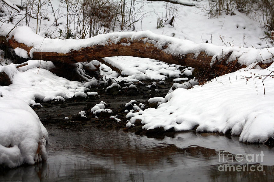 Snowy Day By The Riverside Photograph