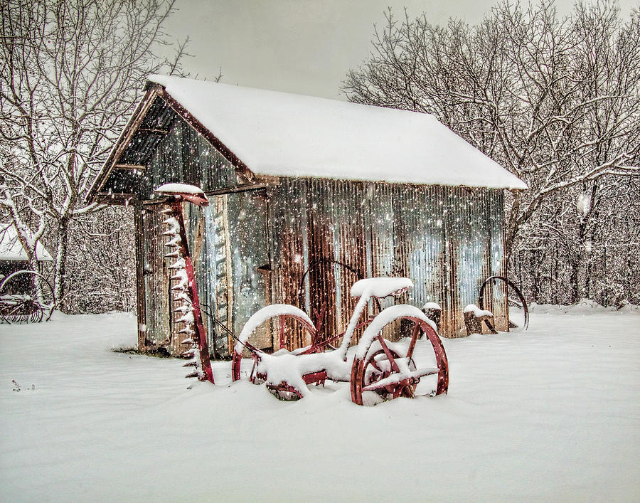 Winter Photograph - Snowy Day by David and Carol Kelly