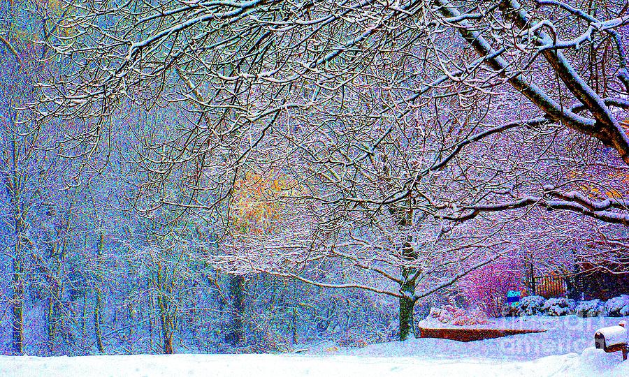 Snowy Day in PA Photograph by Cindy Manero